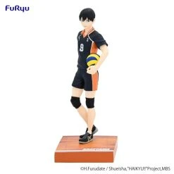 Tobio Kageyama Figure