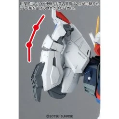 Bandai Freedom Gundam Version 2.0 (1/100 Scale) MG -Professional Model Toy Store freedom gundam mg 15