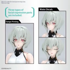 Bandai NOIR Figure-rise Standard -Professional Model Toy Store frs noir 04 en